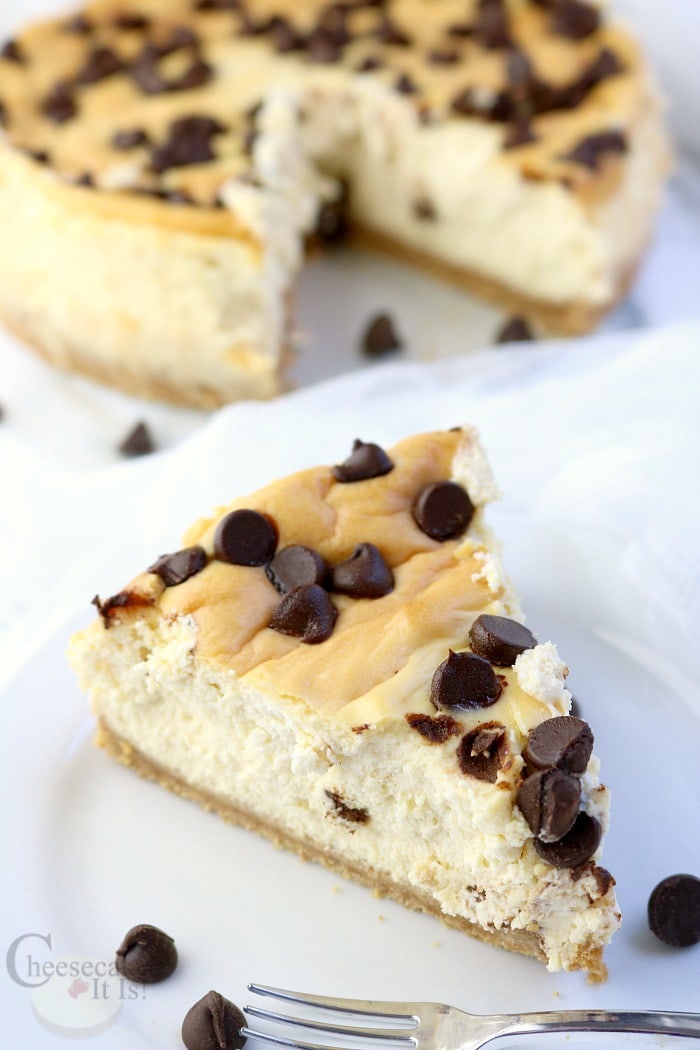 Slice of chocolate chip cheesecake on a white plate with the rest of the cheesecake in the background.