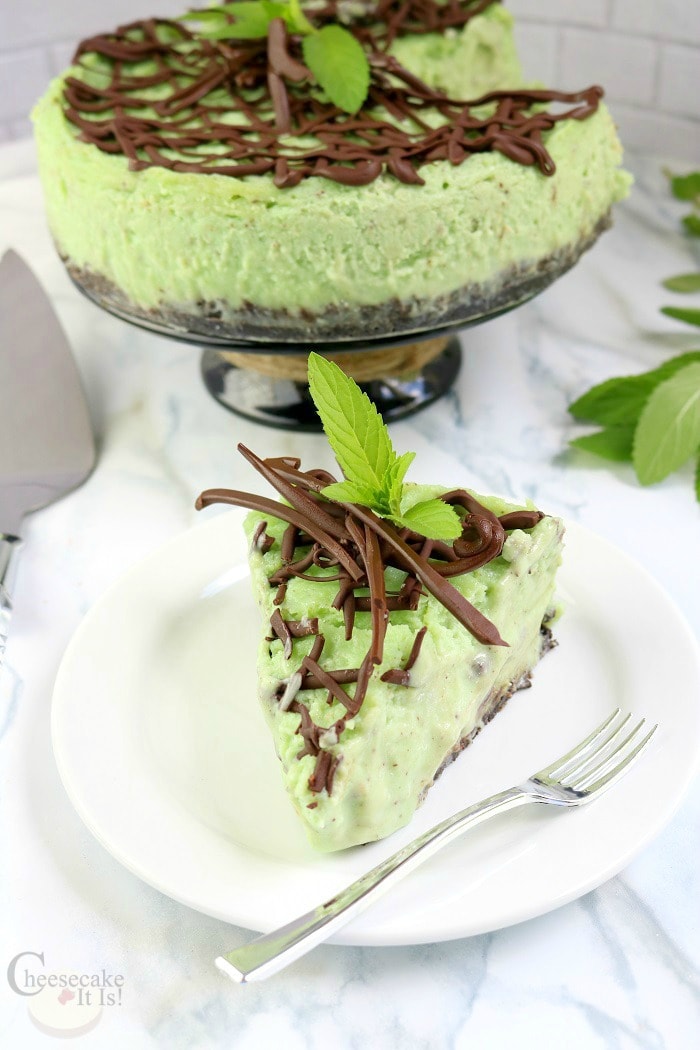 Slice of mint chocolate chip cheesecake with chocolate drizzle and fresh mint. In the background is the whole cheesecake on a cake stand.