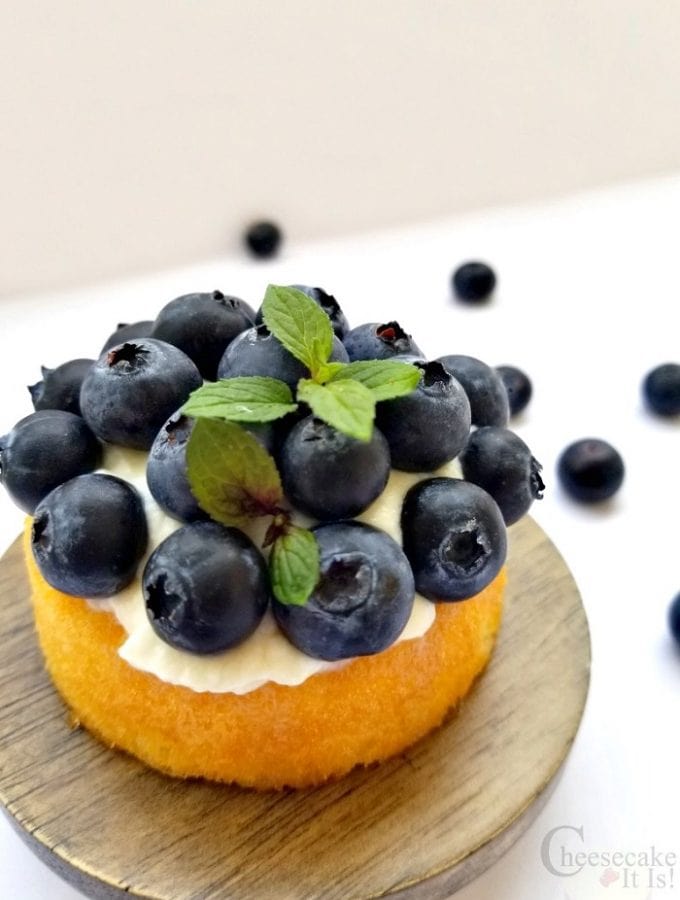 Single Blueberry Shortcake Cheesecake