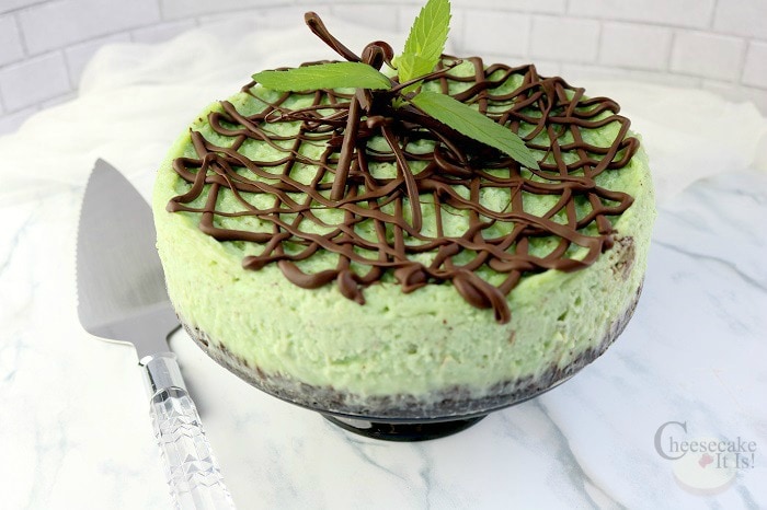 Mint chocolate chip cheesecake garnished with chocolate drizzle and fresh mint on marble counter. 