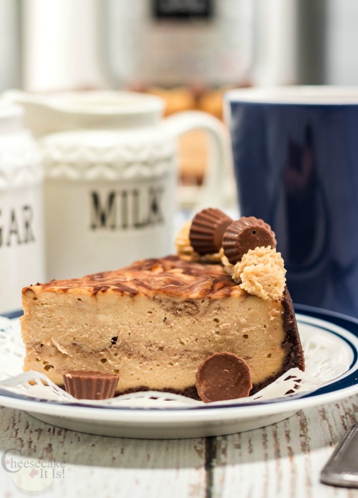 Chocolate Peanut Butter Cheesecake Made In Pressure Cooker