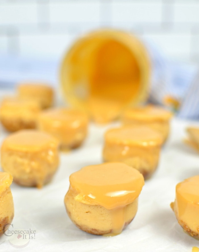 Dulce De Leche Cheesecake Bites Made In The Instant Pot